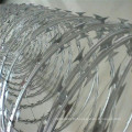 Galvanized Concertina Razor Wire Bto-22